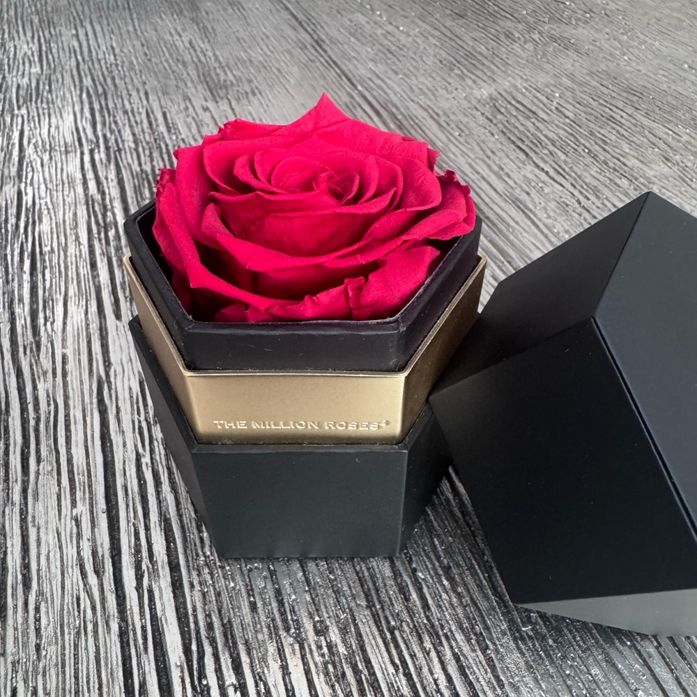 The Million Roses: Red Rose 🌹 - Picture 6 of 12